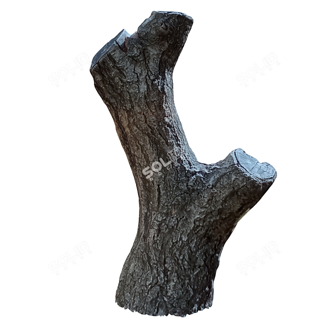 Natural Wood Tree Trunk Décor 3D model image 4