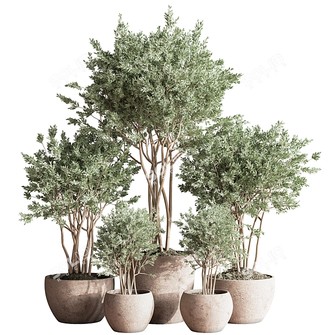 Elegant Indoor Plant Set 3D model image 1