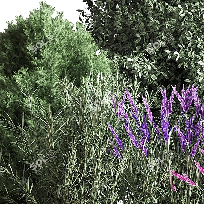 Mixed Plane Bush 03: Versatile 3D Model 3D model image 5