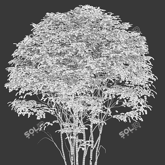 Cornelian Cherry Dogwood: 3 Tree Set 3D model image 5