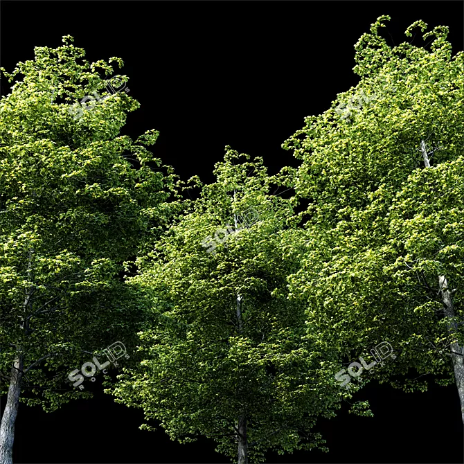 Tree Exterior: Enhance Outdoor Beauty 3D model image 2