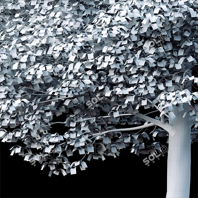 Tree Exterior: Enhance Outdoor Beauty 3D model image 4