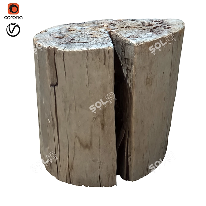 Nature Trunk 21: Realistic Tree Trunk Model 3D model image 1