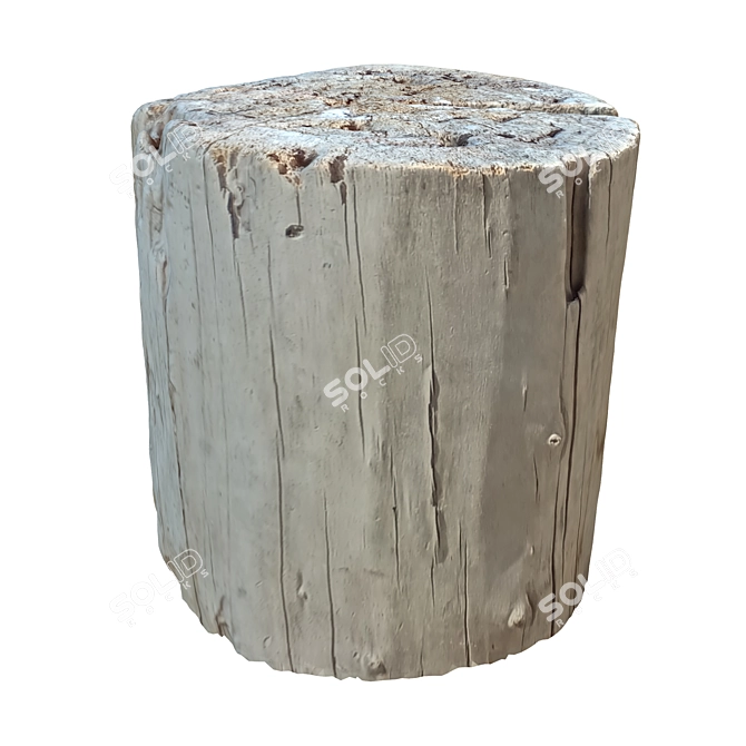 Nature Trunk 21: Realistic Tree Trunk Model 3D model image 2