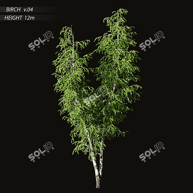 Elegant Birch Tree Mural 3D model image 2