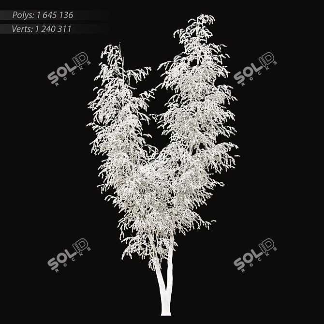 Elegant Birch Tree Mural 3D model image 3