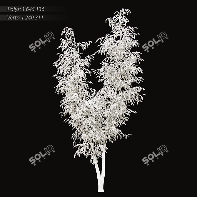 Elegant Birch Tree Mural 3D model image 17