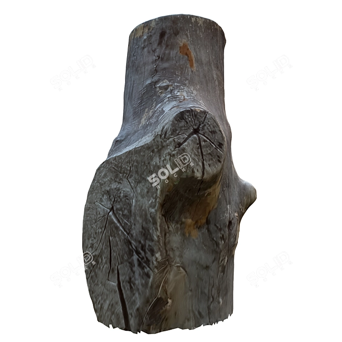 Natural Tree Trunk Sculpture 3D model image 3