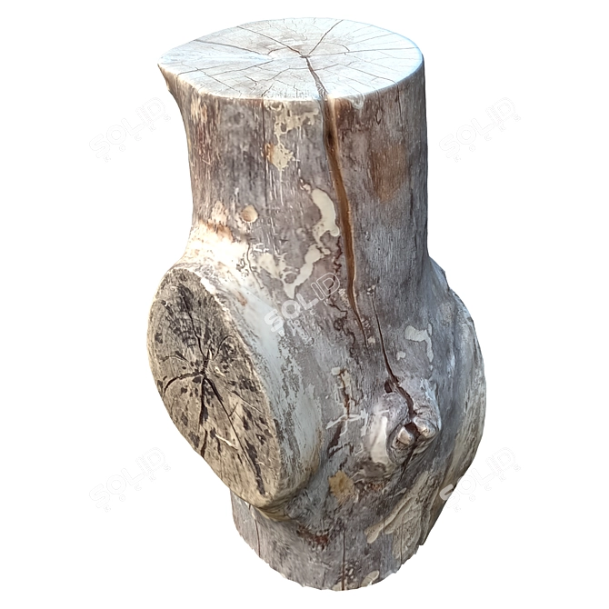 Natural Tree Trunk Sculpture 3D model image 5