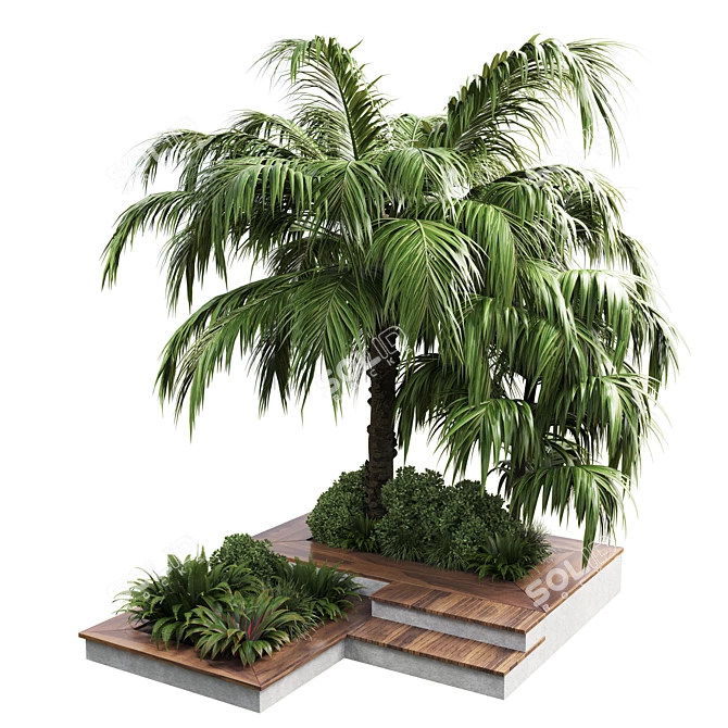 Outdoor Plant Collection: 58 Garden Pot, Tree, Palm, Bush, Fern, Grass, Wood Vase 3D model image 1