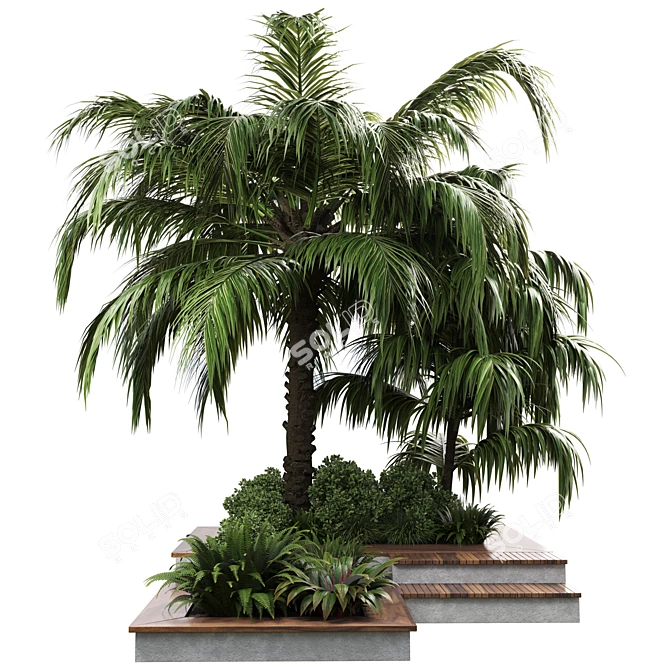 Outdoor Plant Collection: 58 Garden Pot, Tree, Palm, Bush, Fern, Grass, Wood Vase 3D model image 2