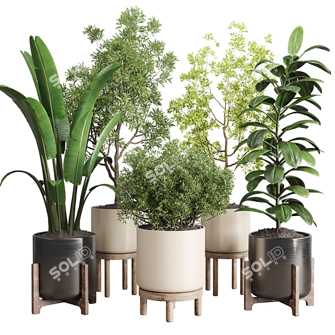 Wooden Vase Collection for Indoor Plant 3D model image 1