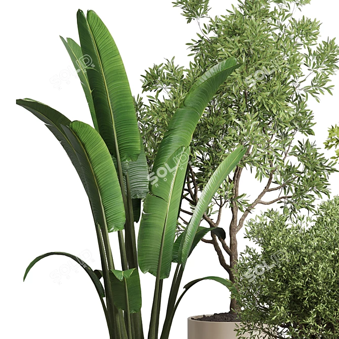 Wooden Vase Collection for Indoor Plant 3D model image 2