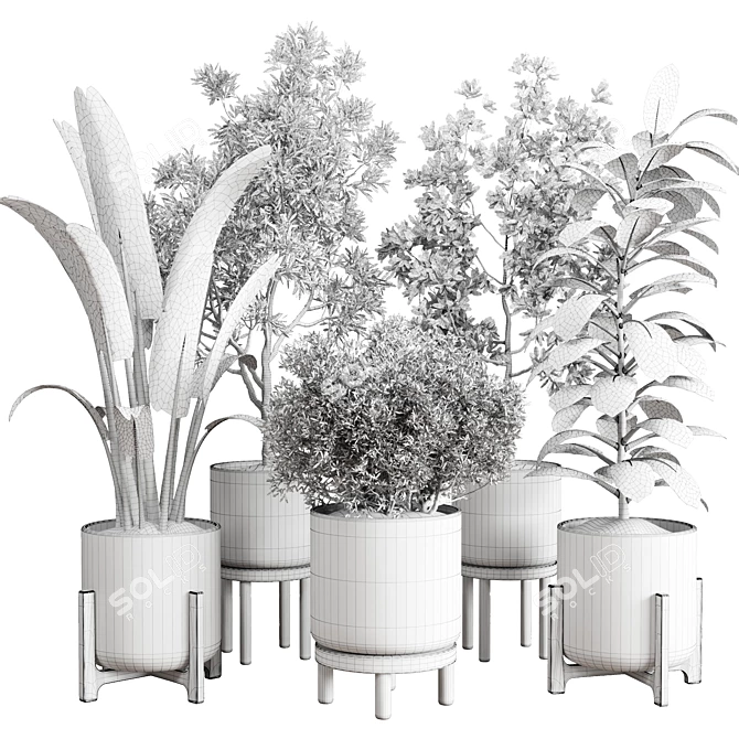 Wooden Vase Collection for Indoor Plant 3D model image 6