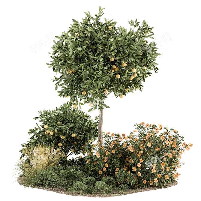 Citrus Delight: Lemon Tree and Bush 3D model image 1