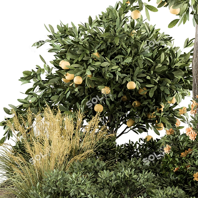Citrus Delight: Lemon Tree and Bush 3D model image 2