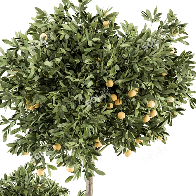 Citrus Delight: Lemon Tree and Bush 3D model image 4