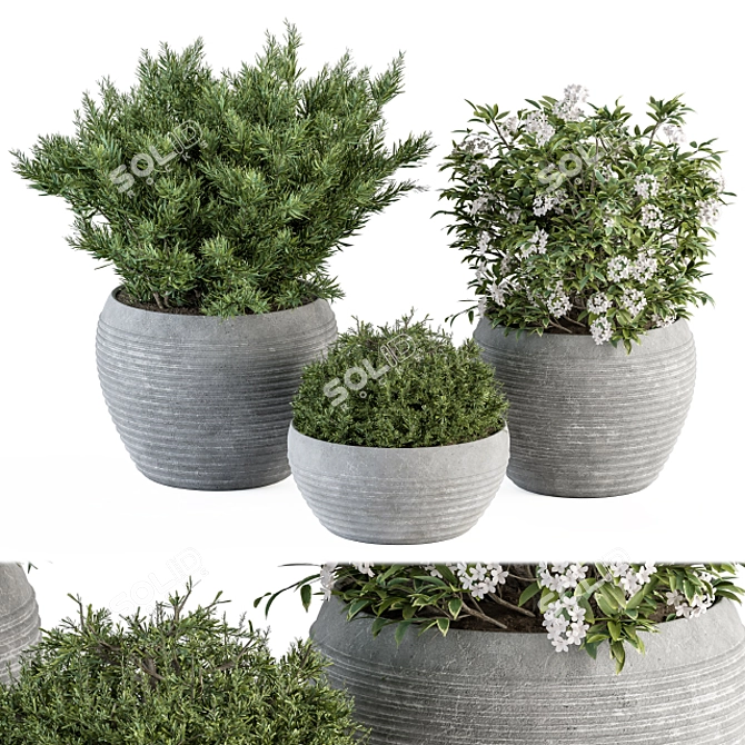 Gray Pot Outdoor Plant Set 3D model image 1