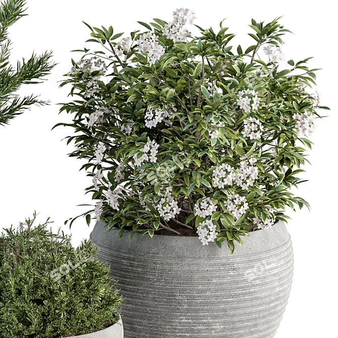 Gray Pot Outdoor Plant Set 3D model image 2