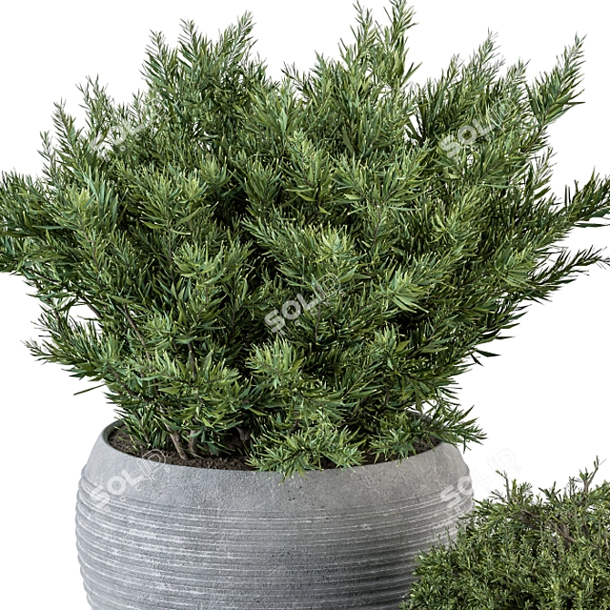 Gray Pot Outdoor Plant Set 3D model image 3