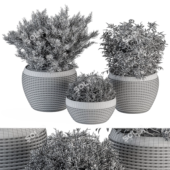 Gray Pot Outdoor Plant Set 3D model image 5