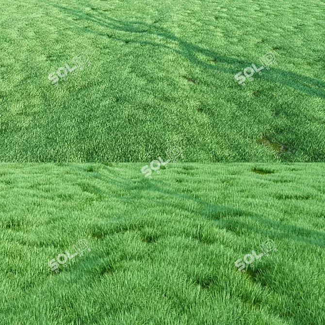 Lush Greenery: High-Quality Grass 3D model image 1