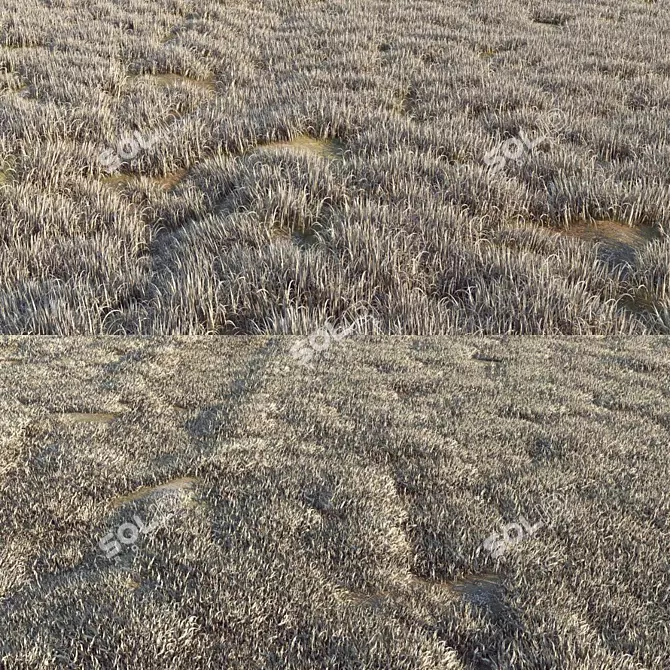 Lush Greenery: High-Quality Grass 3D model image 2