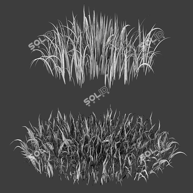 Lush Greenery: High-Quality Grass 3D model image 4