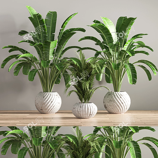 Green Oasis Indoor Plant Set 3D model image 2