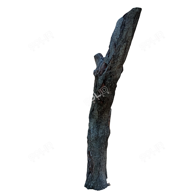 Vintage Tree Trunk Décor 3D model image 3