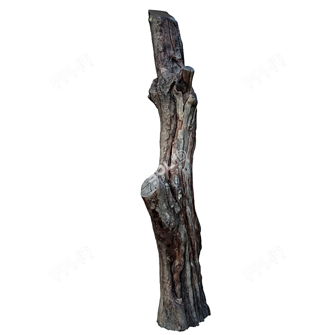 Vintage Tree Trunk Décor 3D model image 5