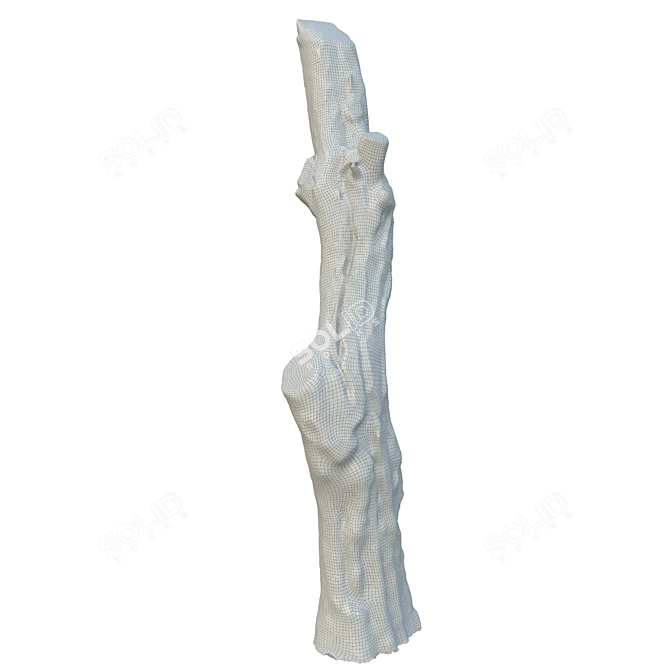 Vintage Tree Trunk Décor 3D model image 6