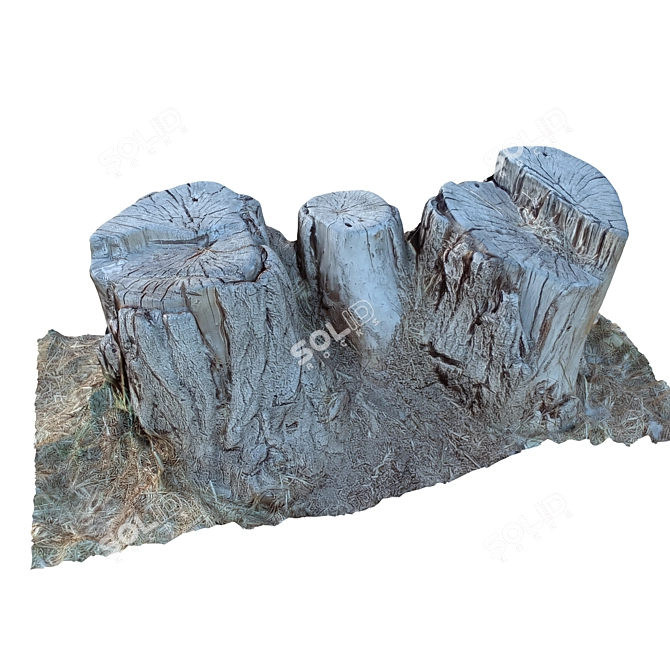 Natural Tree Trunk 24 3D model image 5