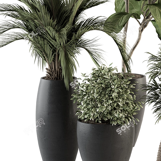 Green Oasis: Indoor Plant Set 3D model image 3