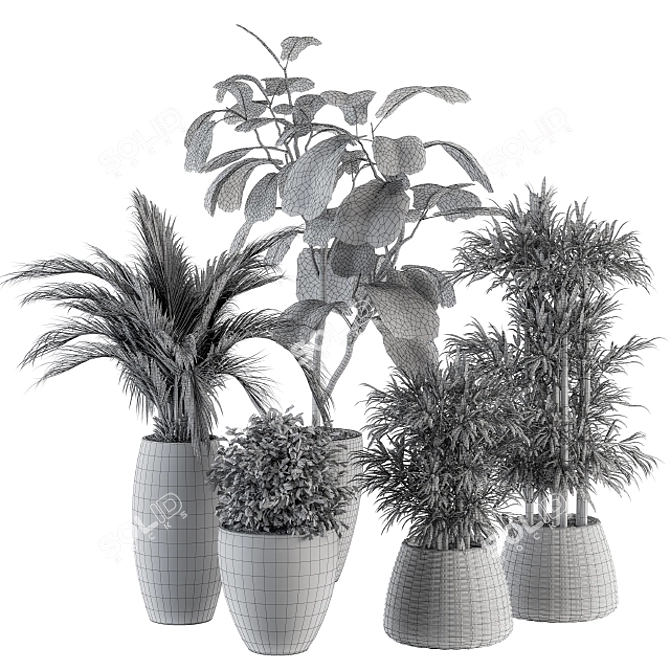 Green Oasis: Indoor Plant Set 3D model image 5