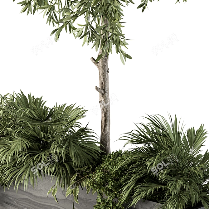 Garden Oasis: Outdoor Plant Set 3D model image 4