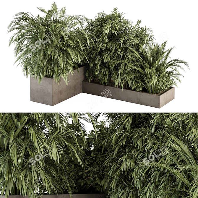 Tropical Plant Box Set 3D model image 1