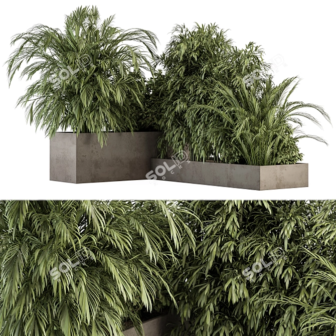 Tropical Plant Box Set 3D model image 2