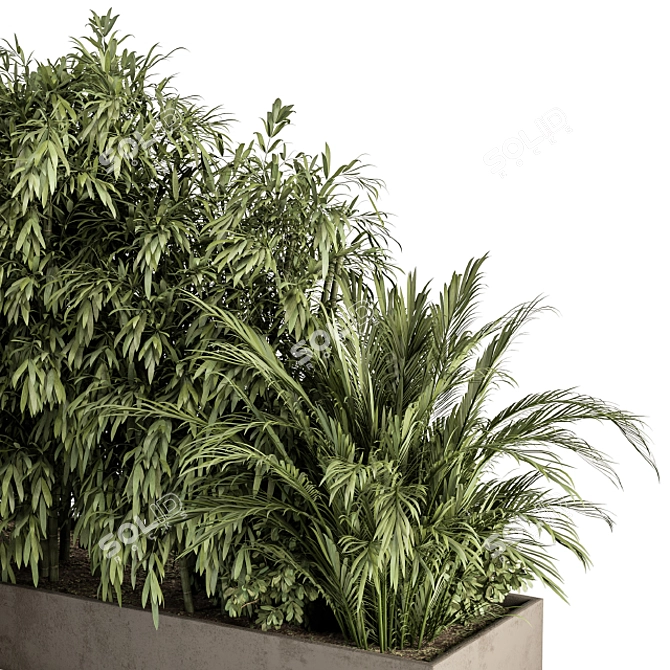 Tropical Plant Box Set 3D model image 4