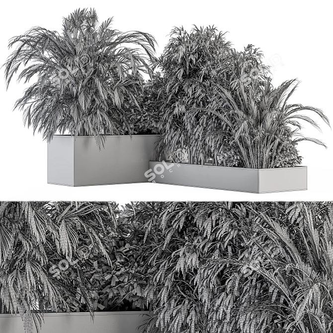 Tropical Plant Box Set 3D model image 6