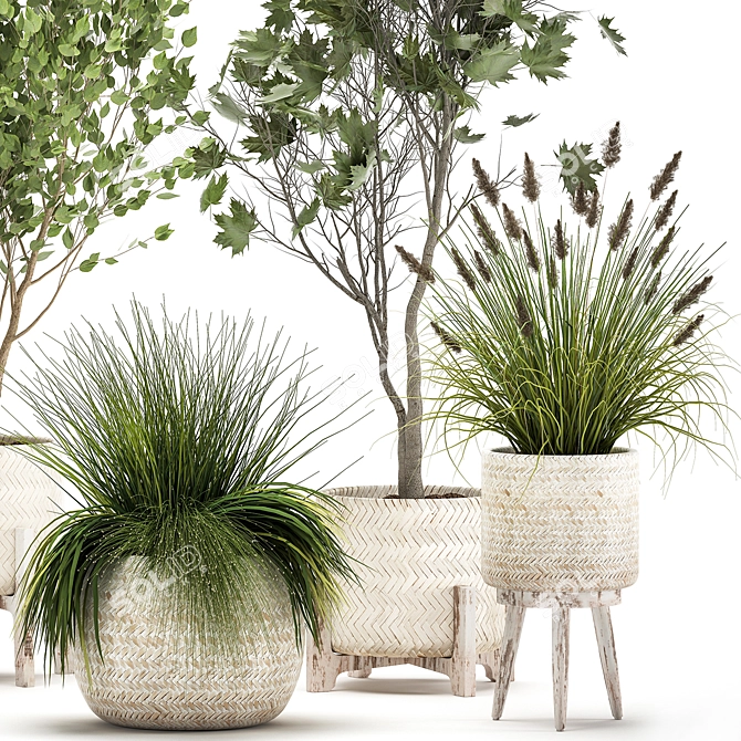 Exotic Plant Collection in Decorative Baskets 3D model image 2