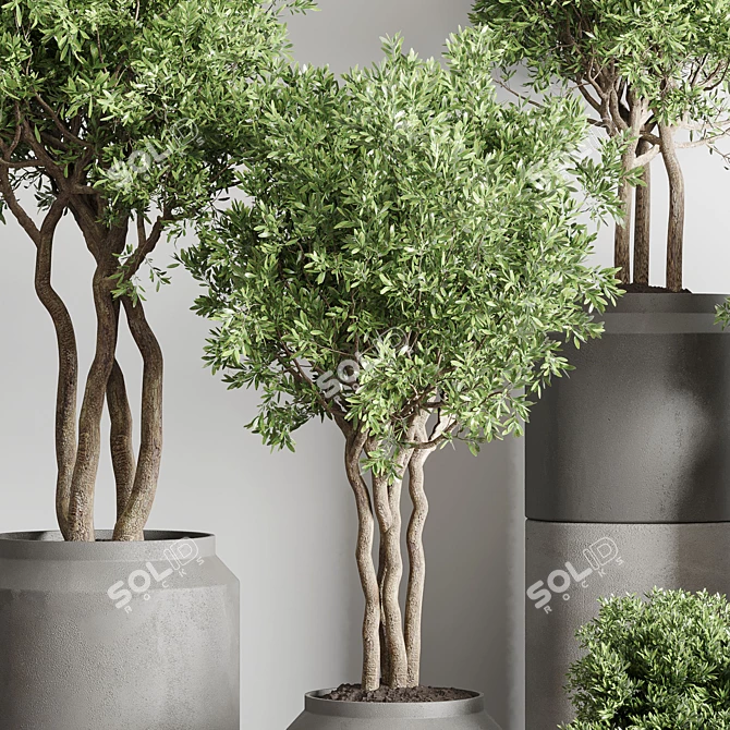 61 Concrete Vase Pot Collection 3D model image 6