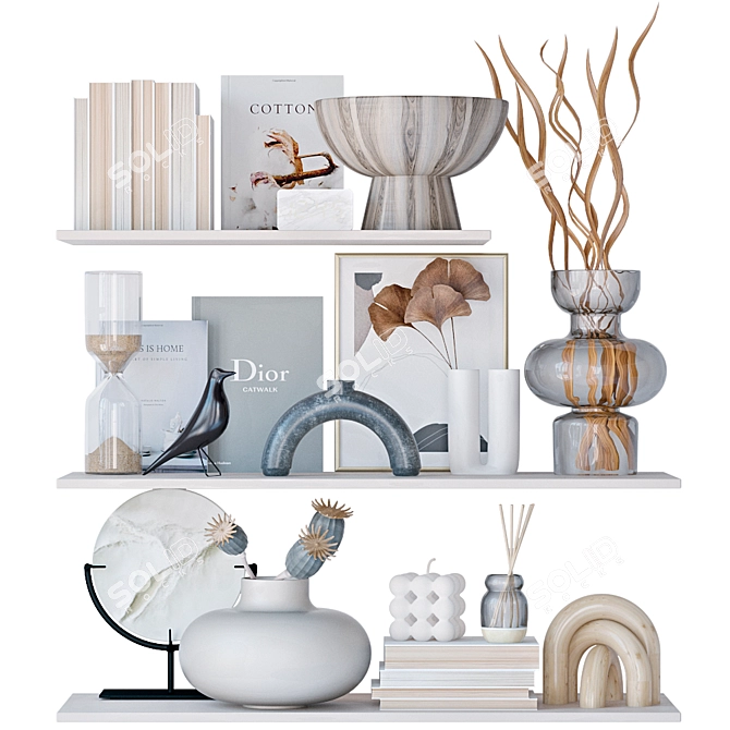 Decorative Shelves: Vases & Books 3D model image 1