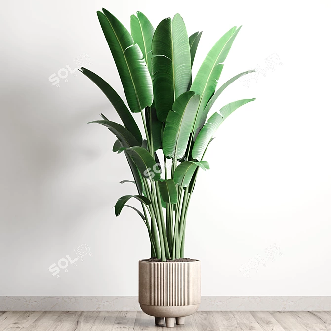 Concrete Pot Plant: Ravenala 3D model image 2