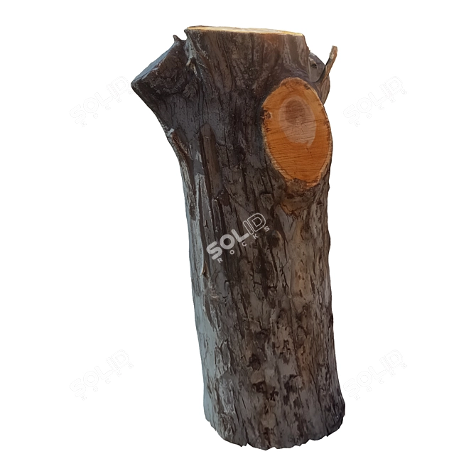 Natural Wood Tree Trunk Sculpture 3D model image 2