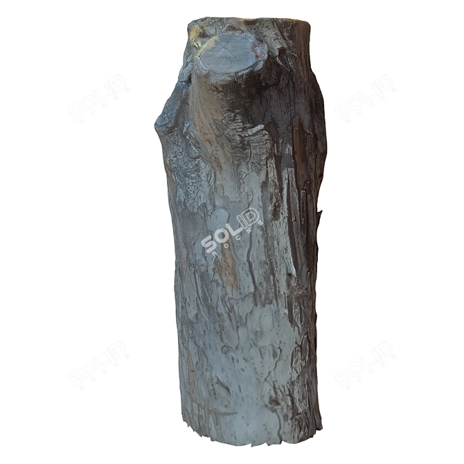 Natural Wood Tree Trunk Sculpture 3D model image 3