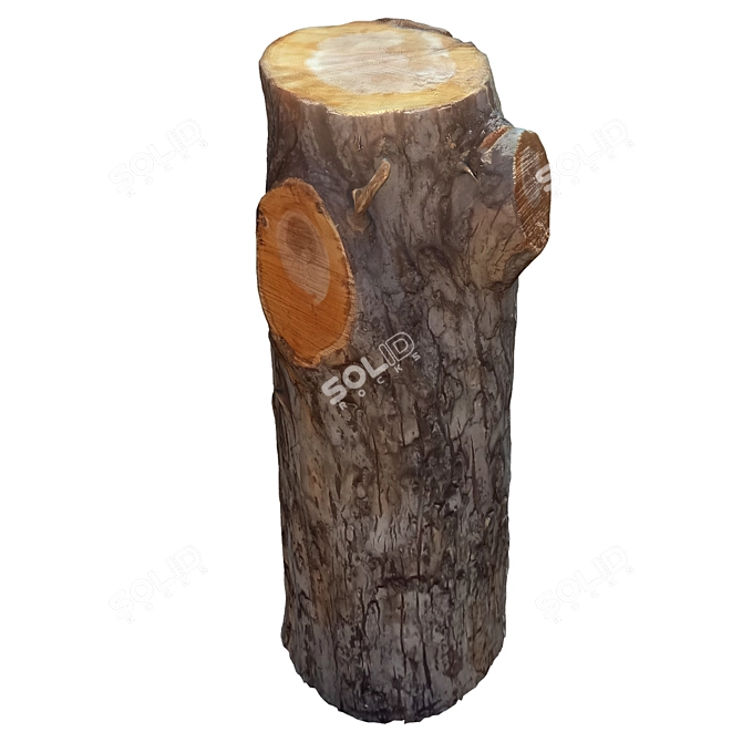 Natural Wood Tree Trunk Sculpture 3D model image 4