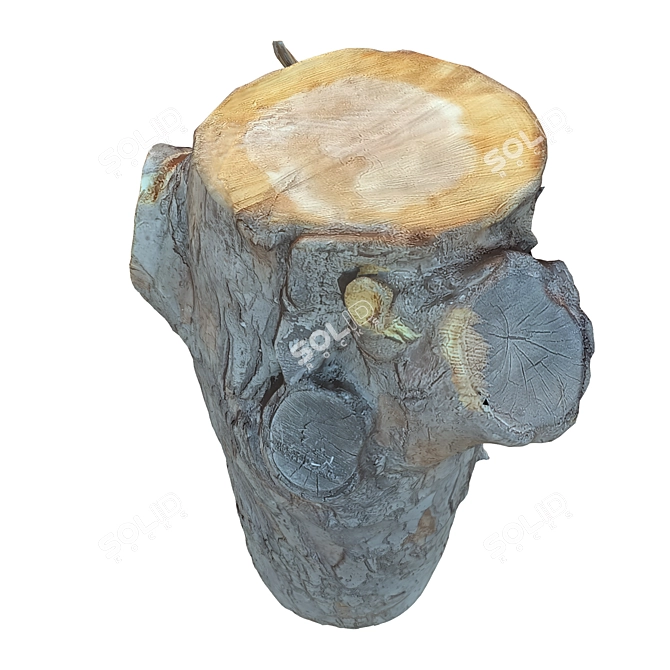 Natural Wood Tree Trunk Sculpture 3D model image 5