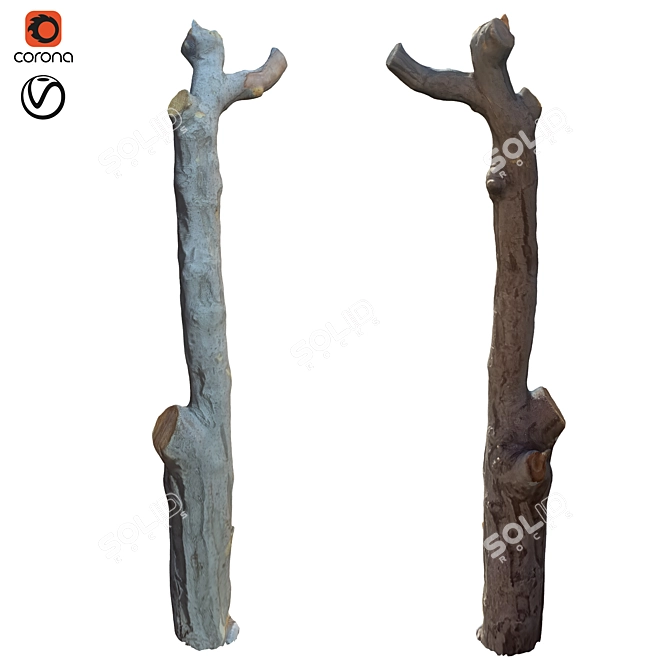 Natural Wood Trunk Decor 3D model image 1