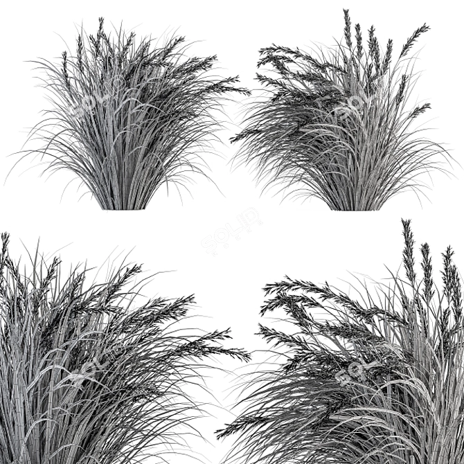 Pampas Bush Set: 42 Fresh & Dried 3D model image 4